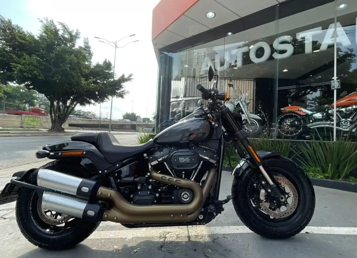 galeria FAT BOB FXFBS