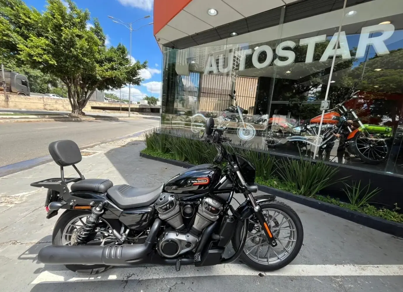 galeria Nightster Special