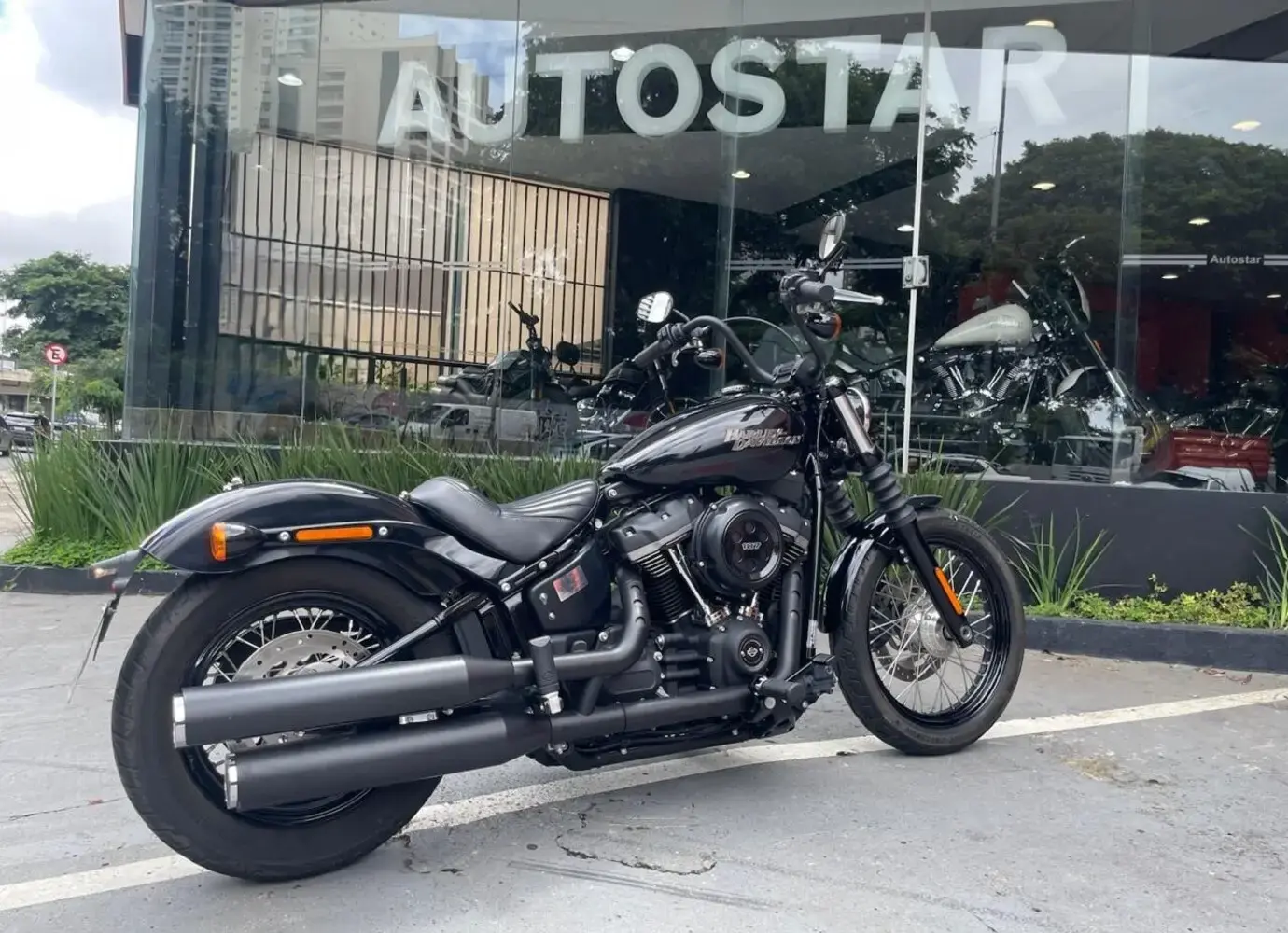 galeria Street Bob