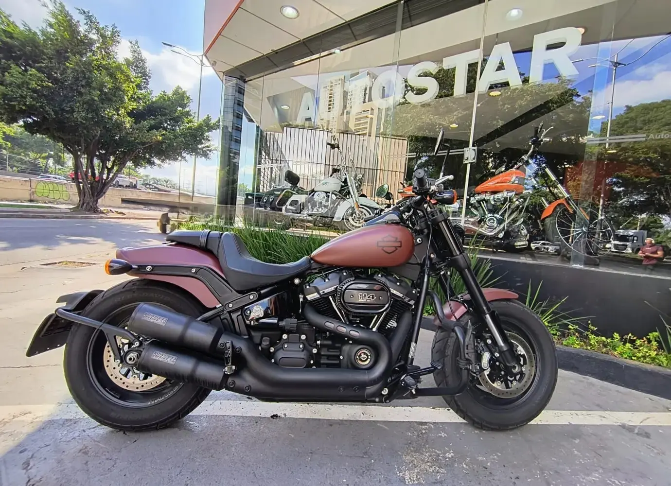 galeria FAT BOB FXFB