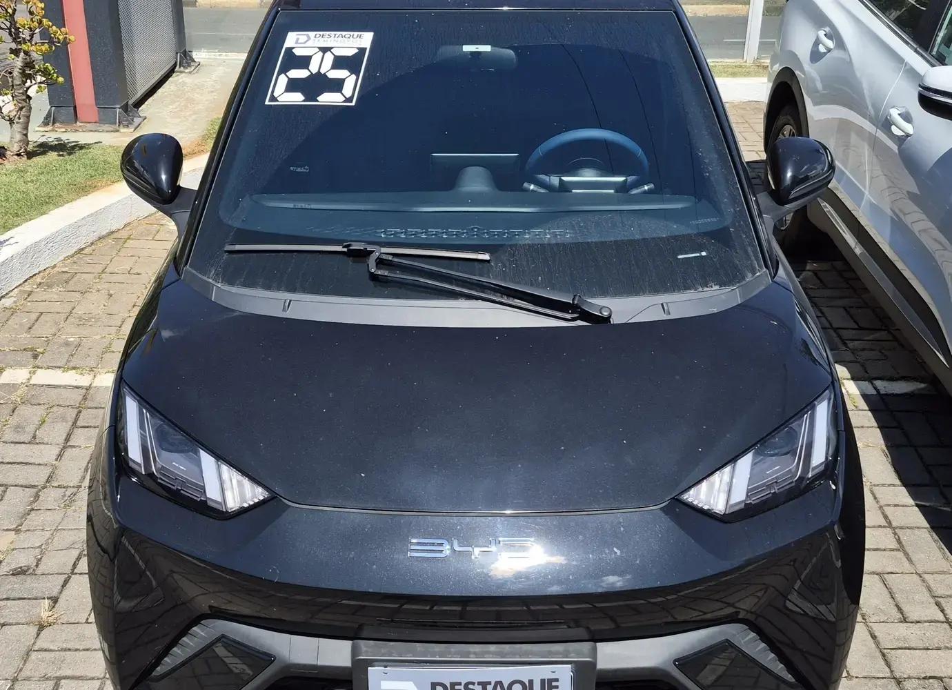 galeria DOLPHIN MINI