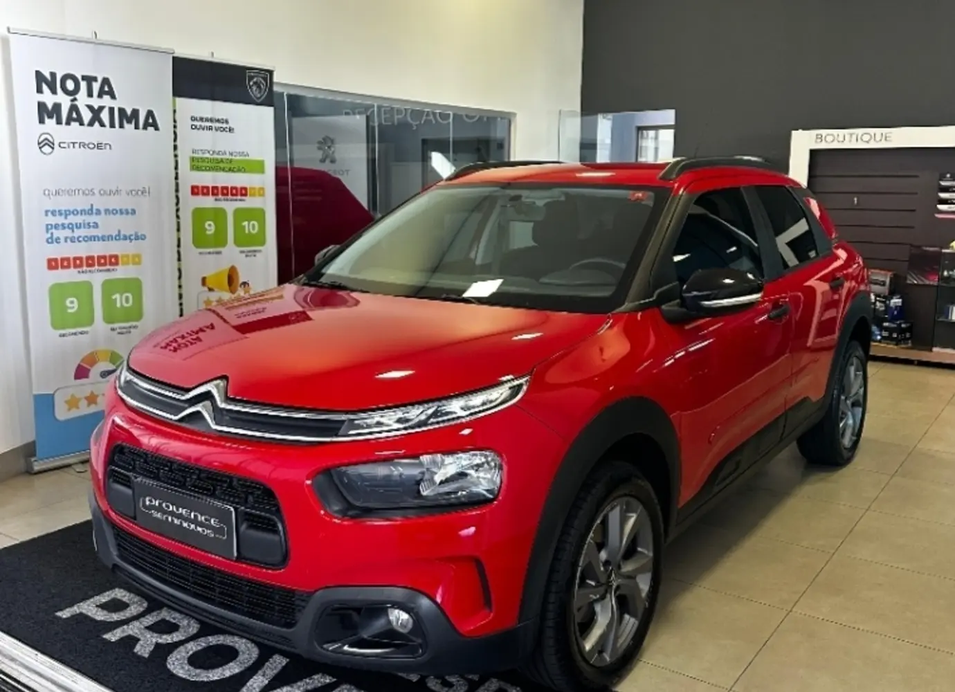 galeria C4 CACTUS
