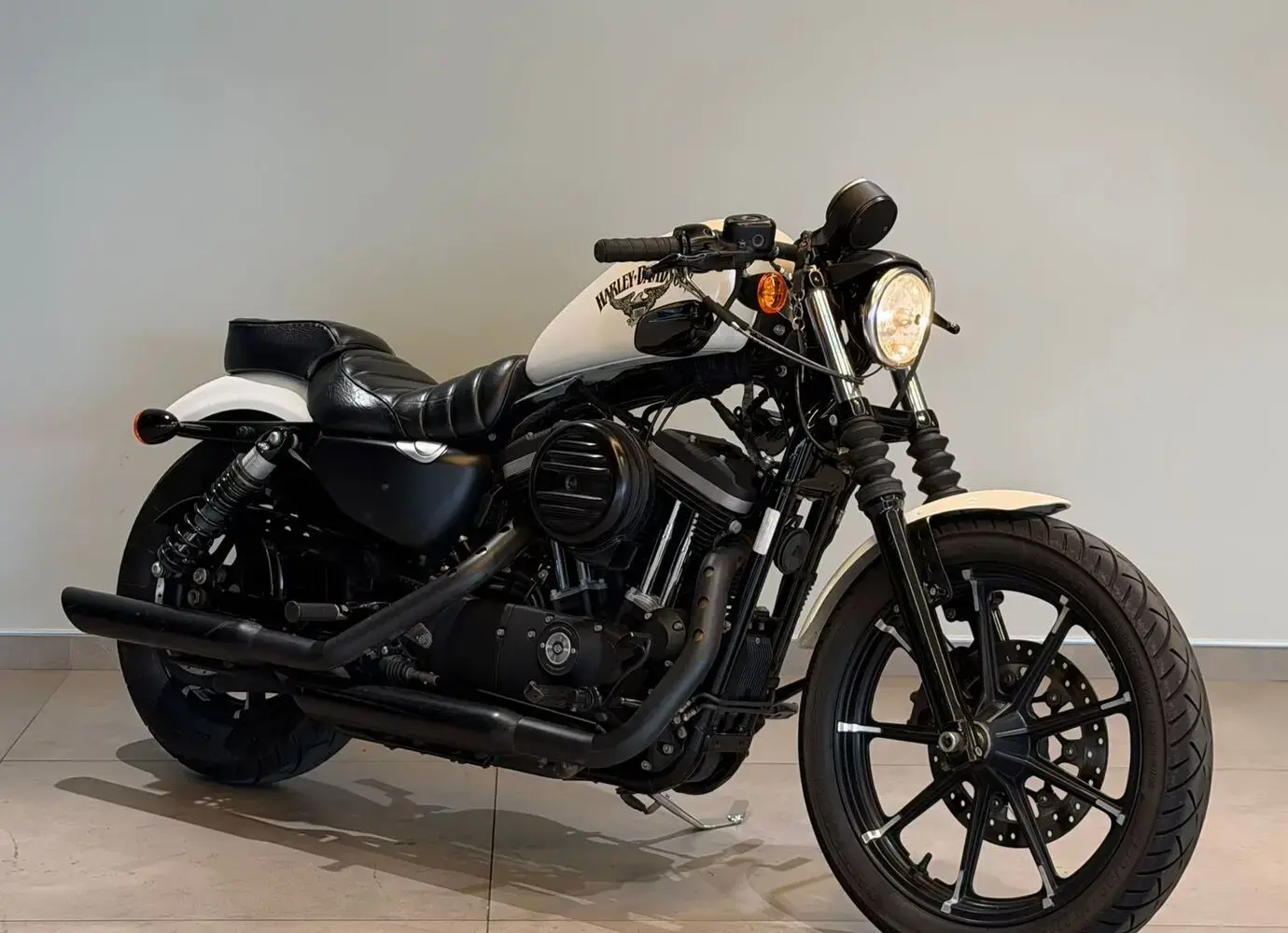 galeria Sportster XL 883