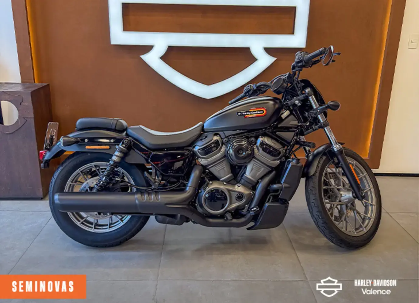 galeria NIGHTSTER SPECIAL