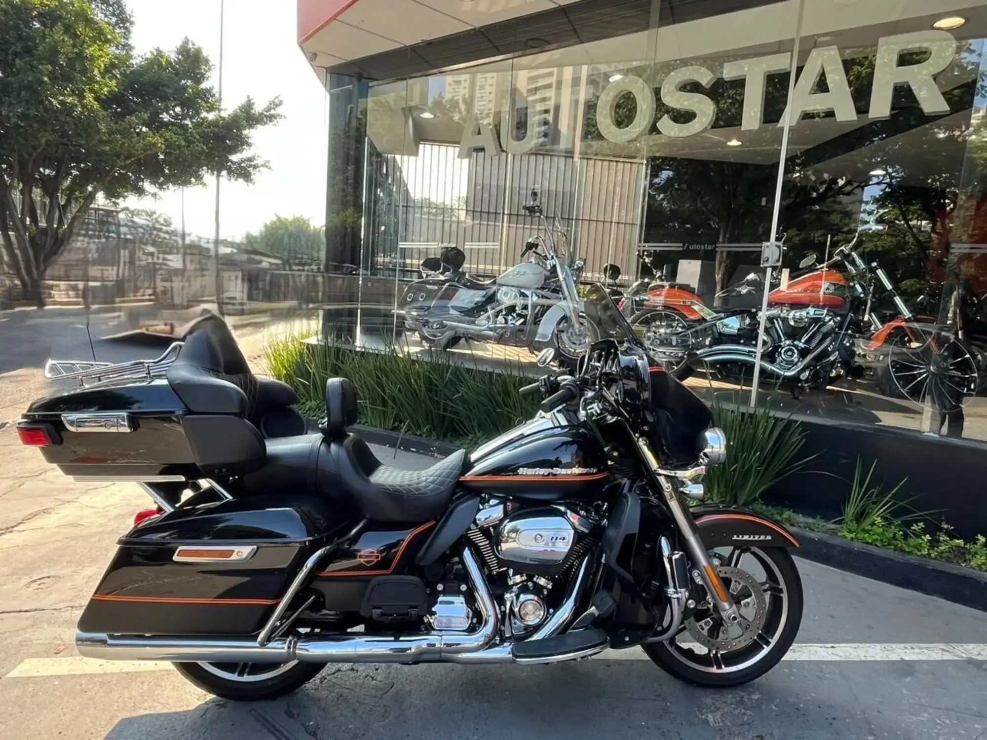 Ultra ULTRA LIMITED FLHTK