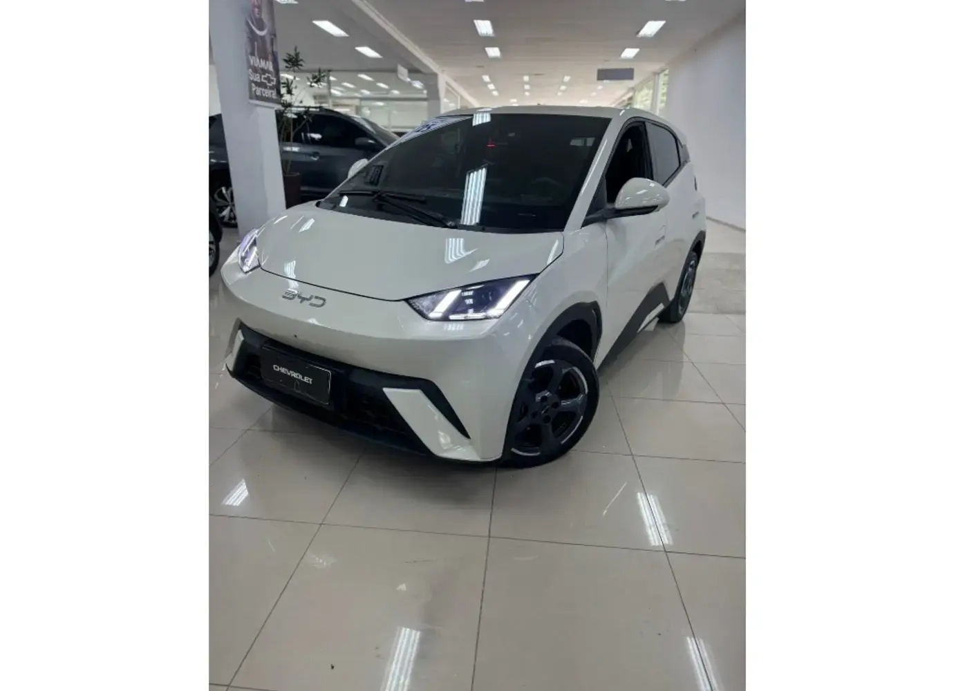 galeria DOLPHIN MINI