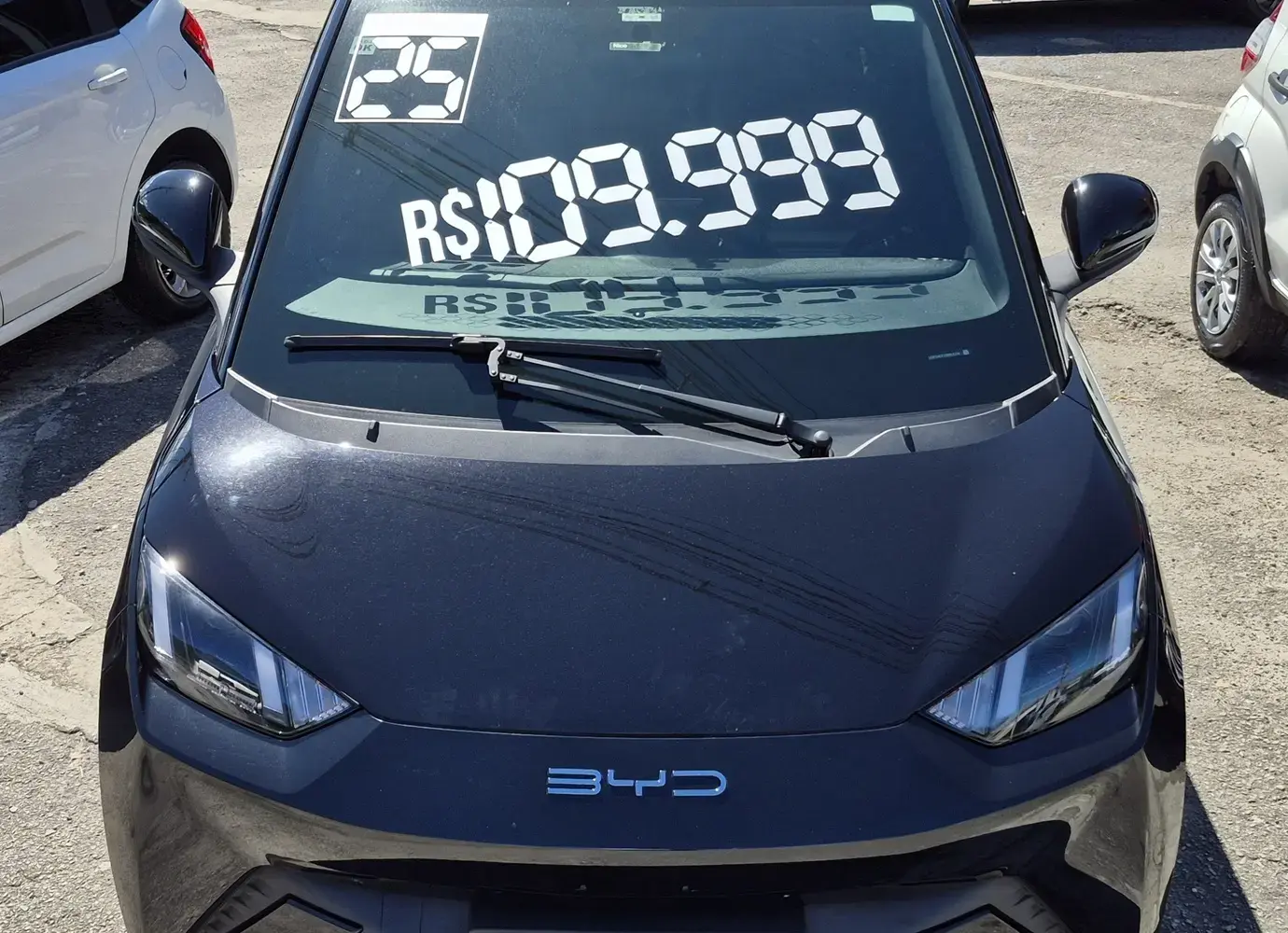 galeria DOLPHIN MINI