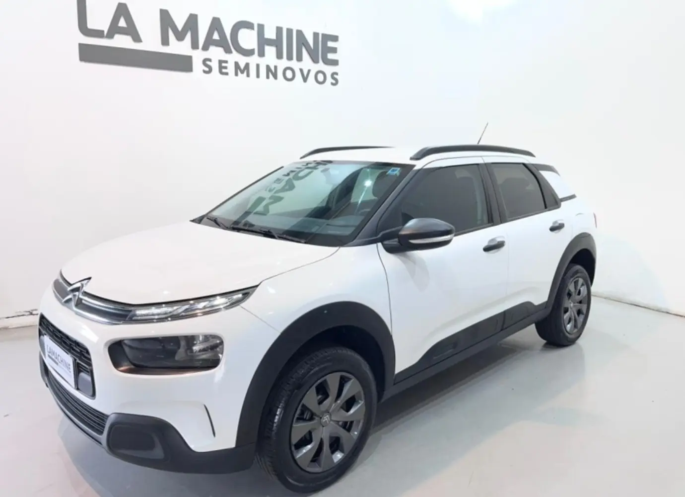 galeria C4 CACTUS