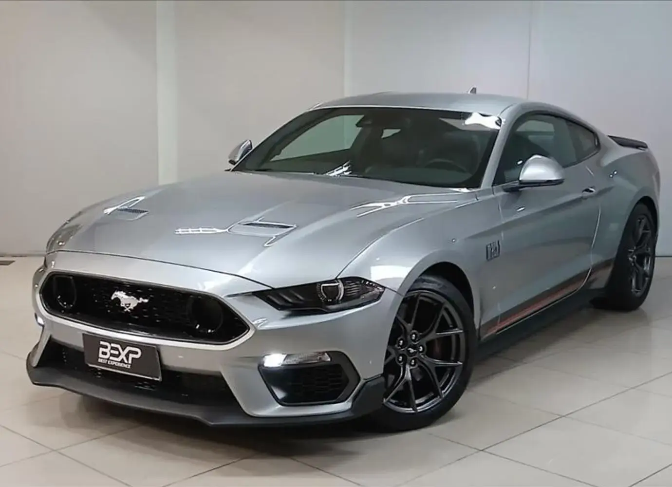 galeria MUSTANG