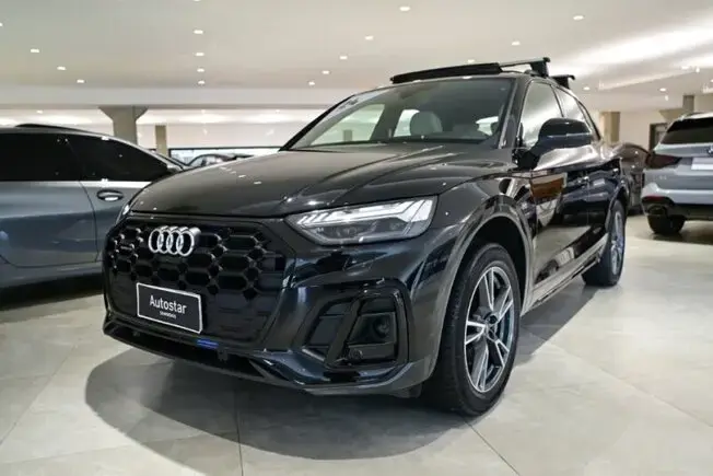 Audi Q5 Perf. Black 2.0 TFSIe S.Tr. Qt (Hib.)