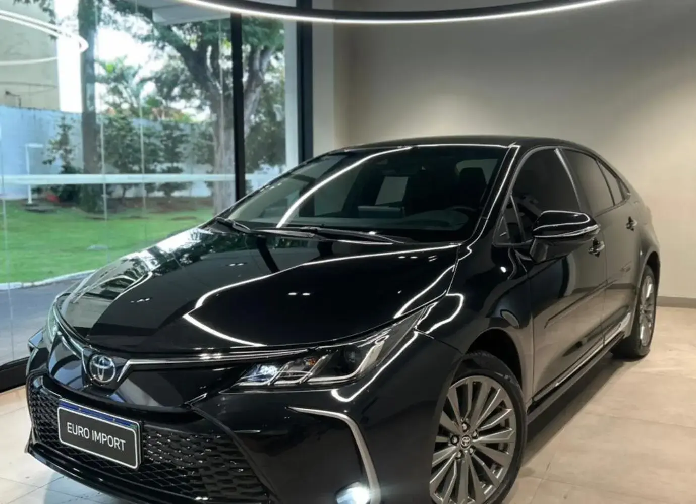 galeria Corolla