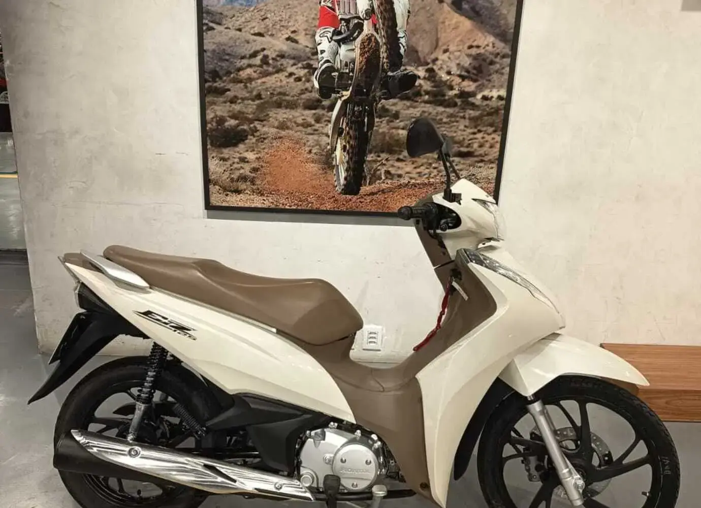 galeria HONDA