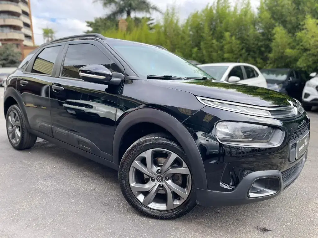 galeria C4 CACTUS