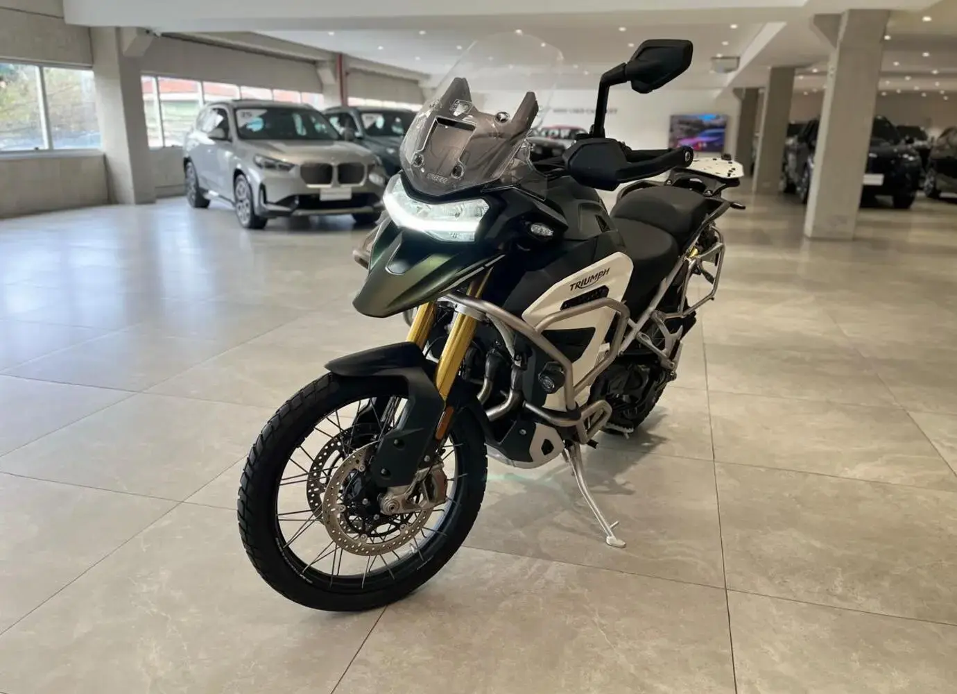 galeria Tiger 1200