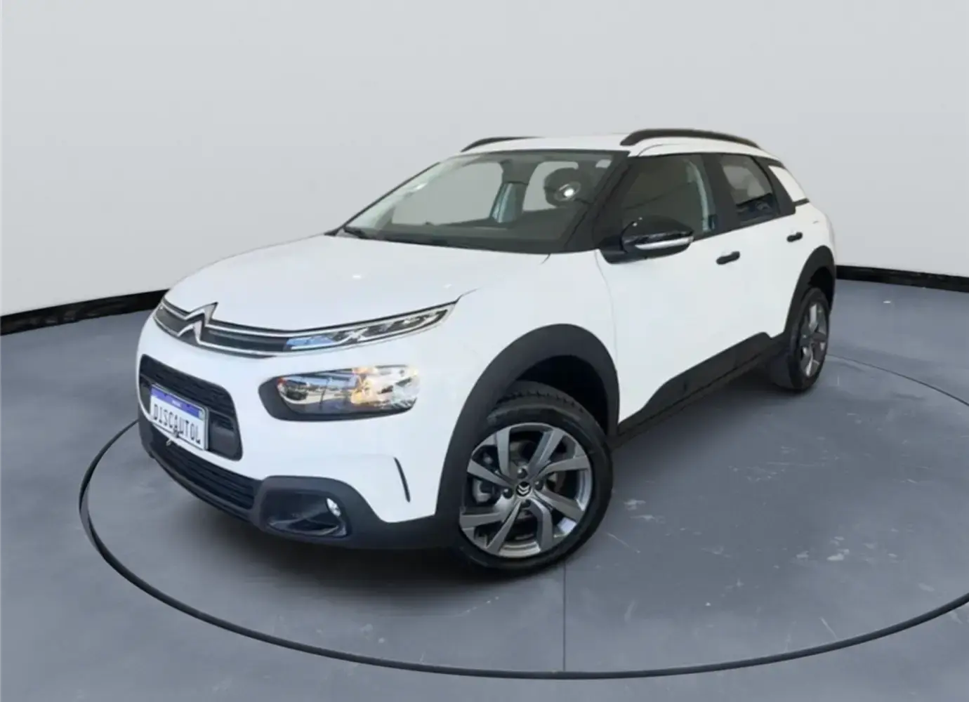 galeria C4 CACTUS