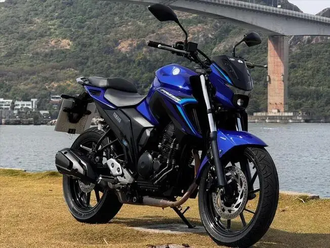 Yamaha FAZER FZ25 ABS