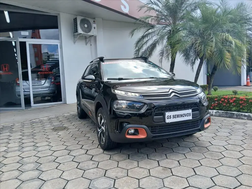 galeria C4 CACTUS