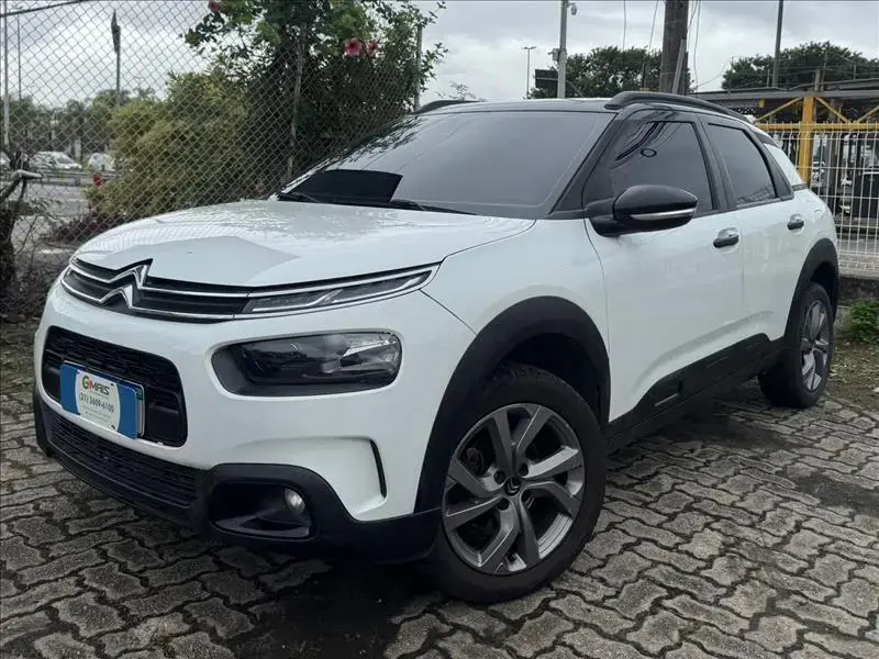 galeria C4 CACTUS