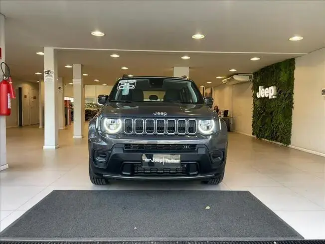 RENEGADE