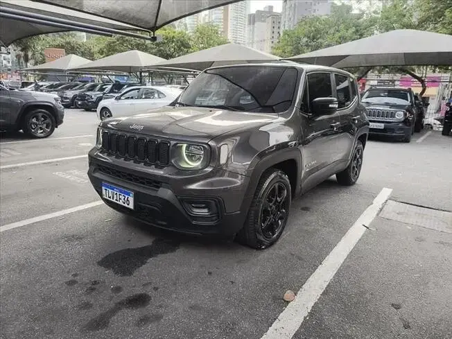 RENEGADE