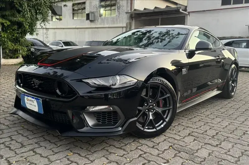 galeria MUSTANG