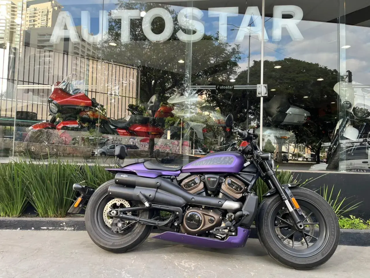 galeria Sportster 1200