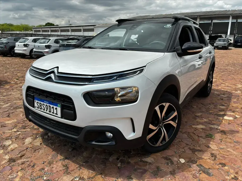 galeria C4 CACTUS