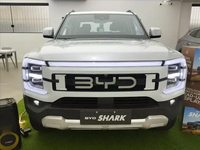 SHARK