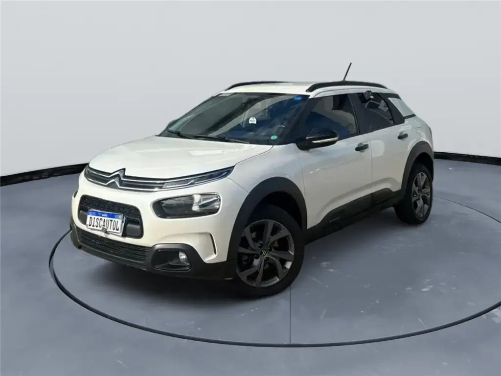 galeria C4 CACTUS