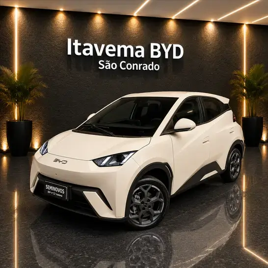 Byd DOLPHIN MINI 38 KW ELÉTRICO GS