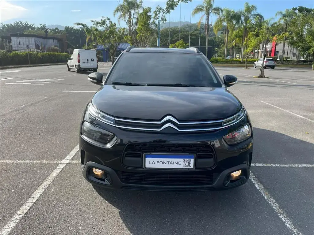 galeria C4 CACTUS