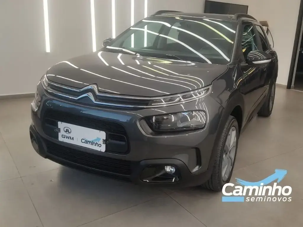 galeria C4 CACTUS