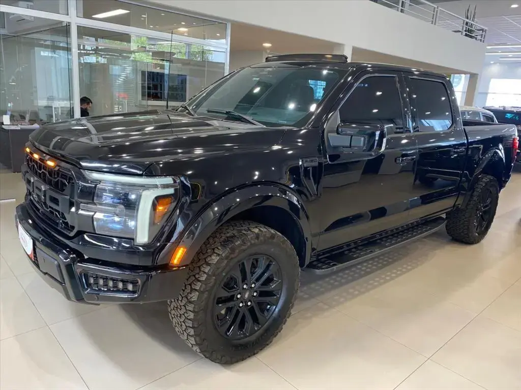 galeria F-150