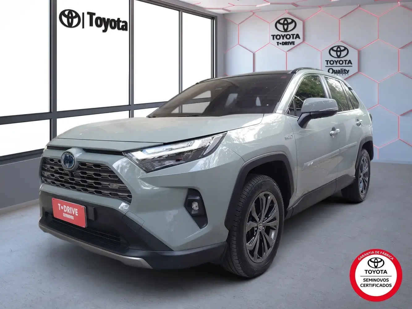 galeria RAV4