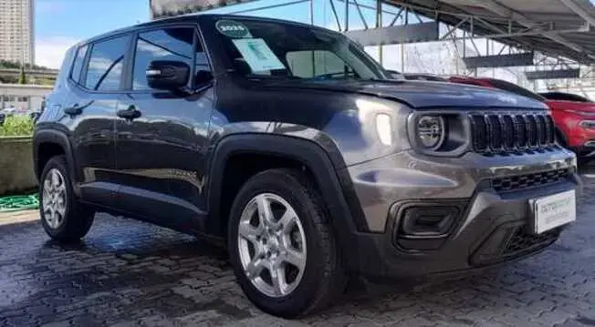 RENEGADE
