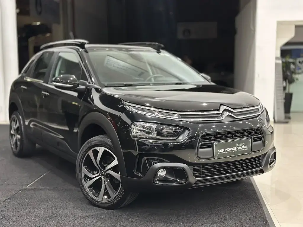 galeria C4 CACTUS