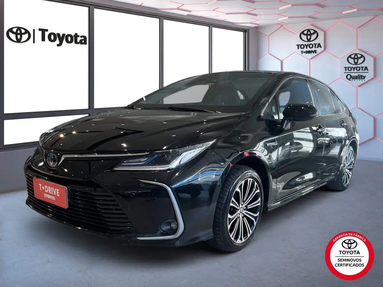 galeria Corolla