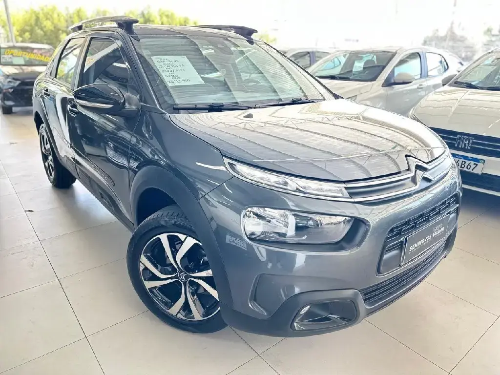 galeria C4 CACTUS