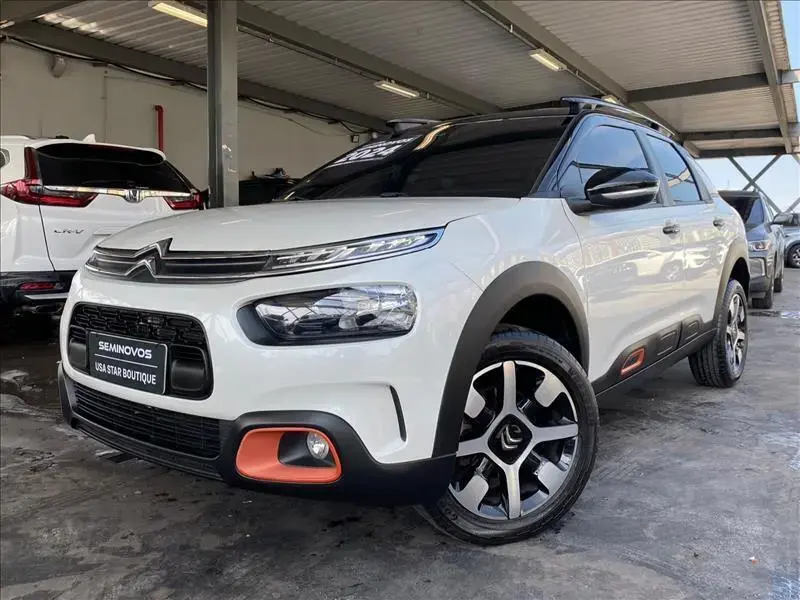 galeria C4 CACTUS