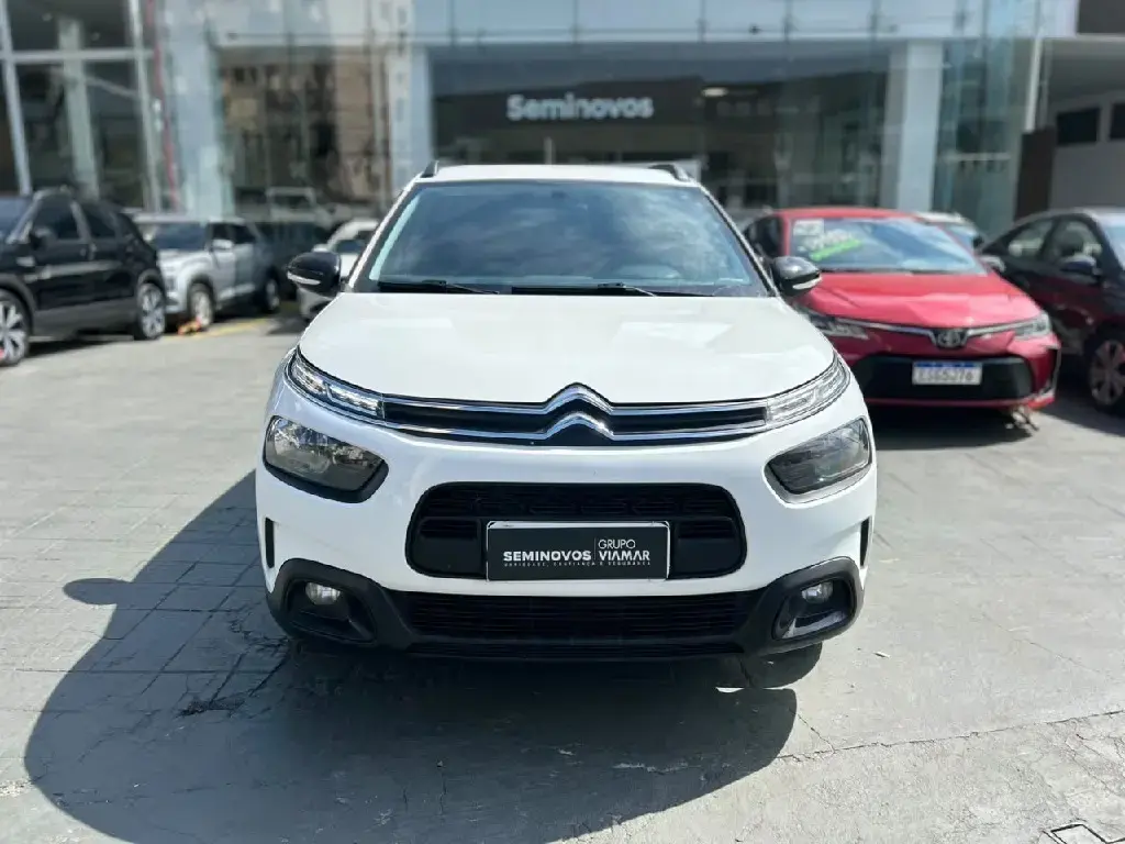 galeria C4 CACTUS