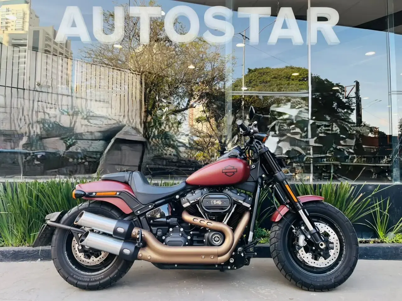 galeria Softail