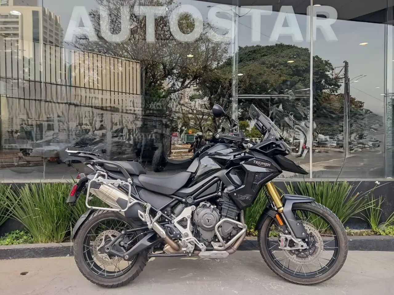 galeria Tiger 1200