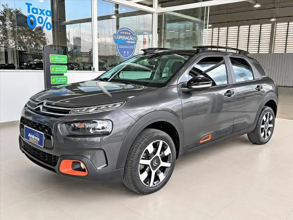 galeria C4 CACTUS