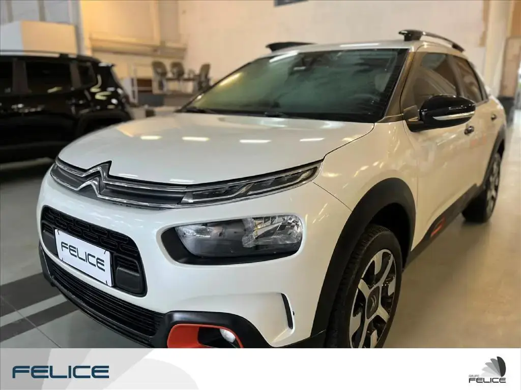 galeria C4 CACTUS