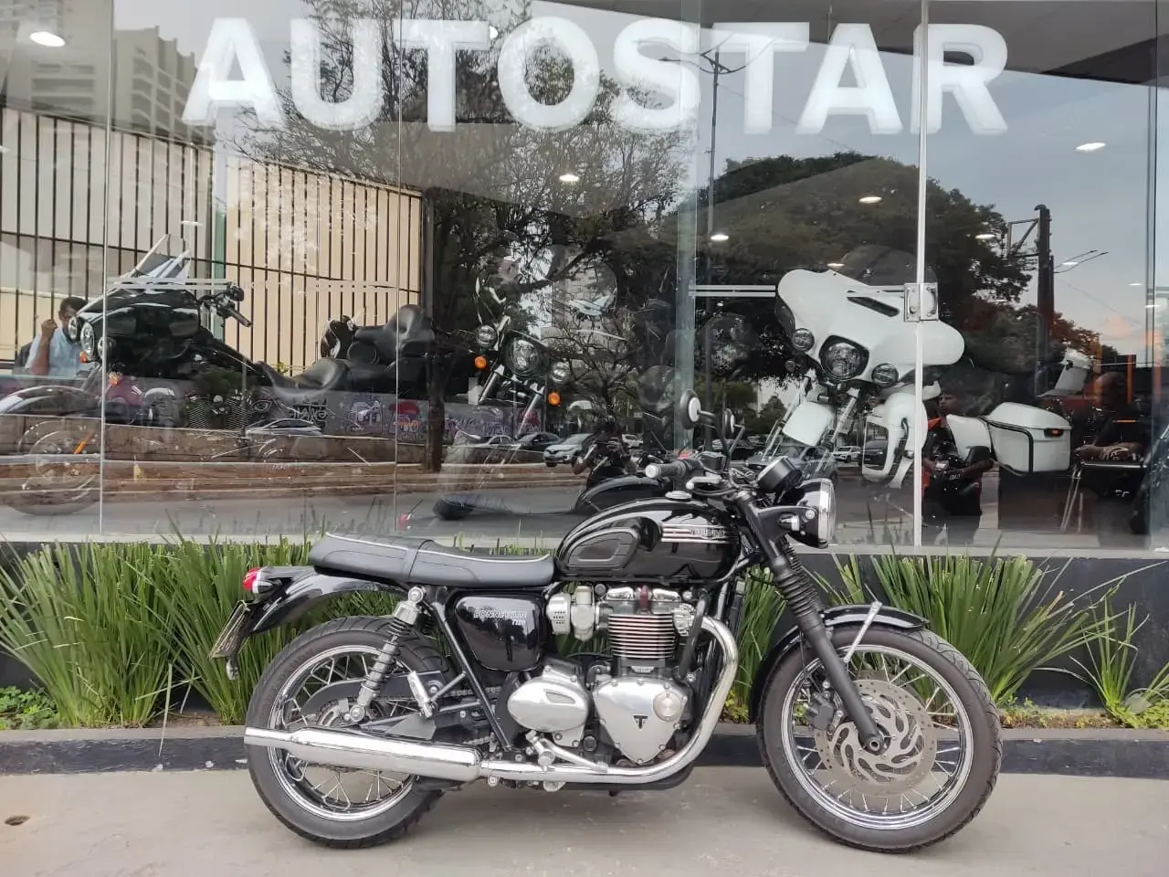 galeria Bonneville T120