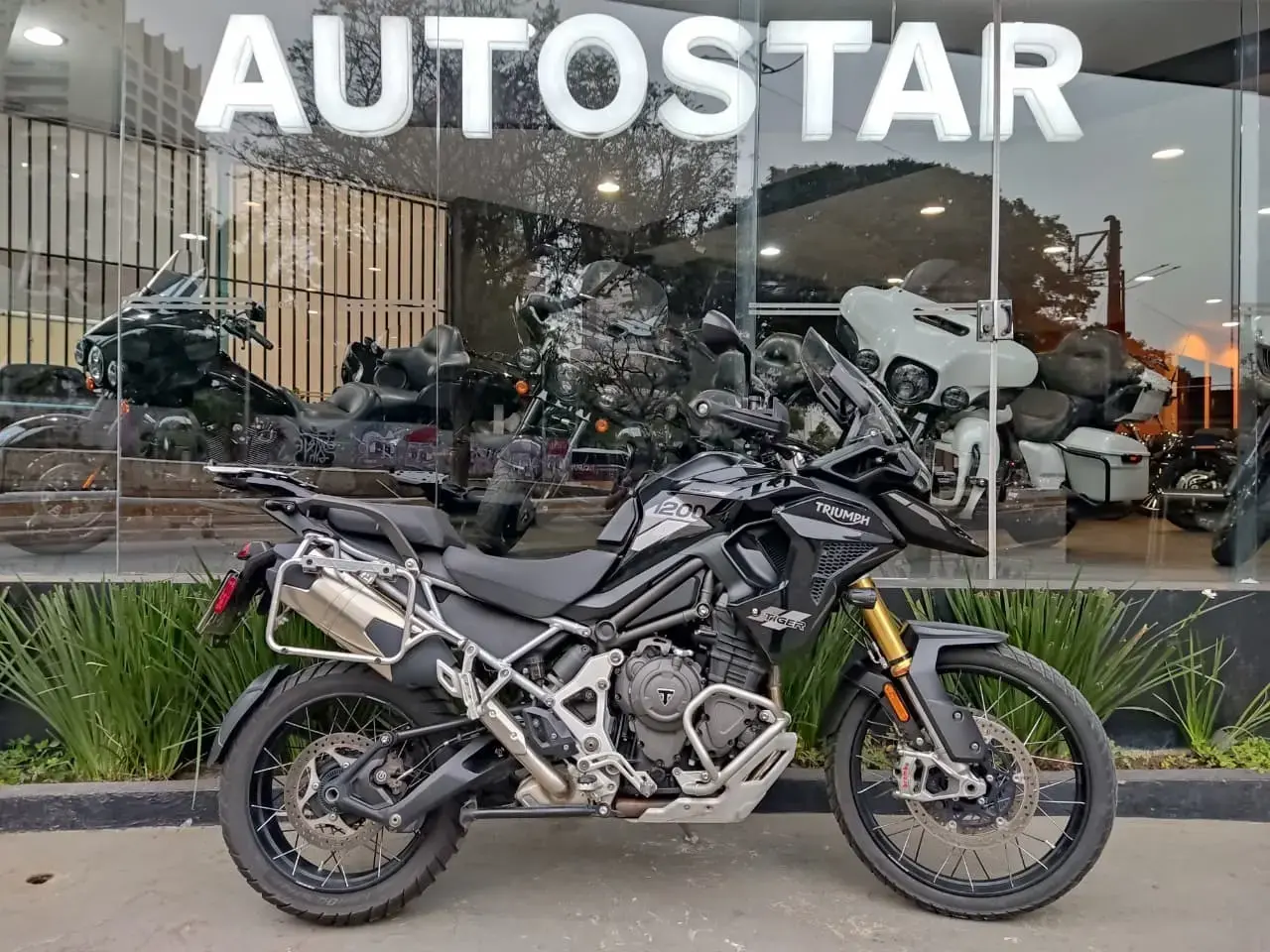 galeria Tiger 1200
