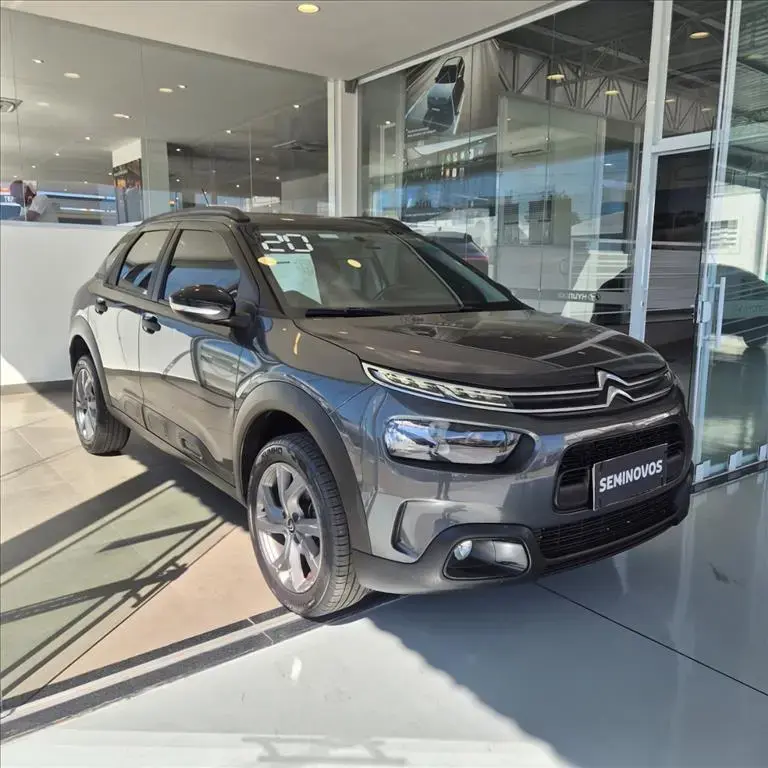 galeria C4 CACTUS