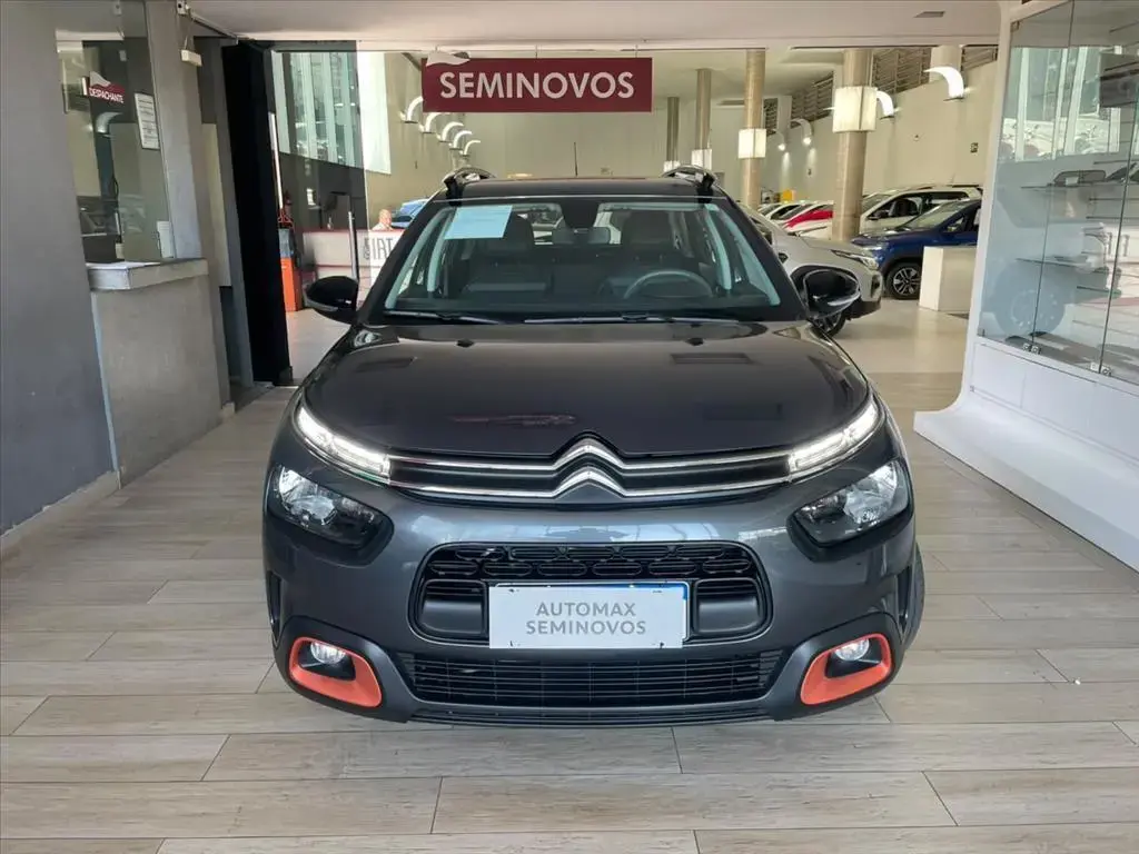 galeria C4 CACTUS