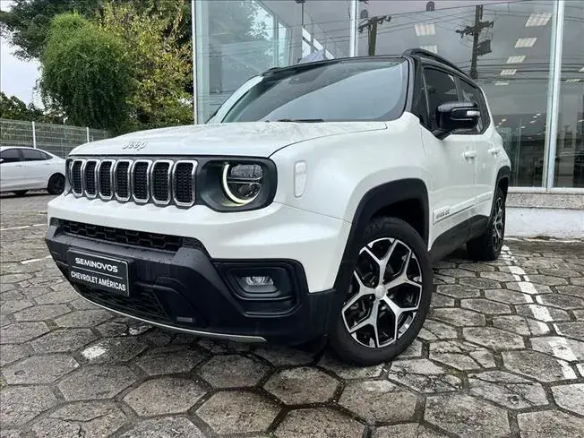 RENEGADE