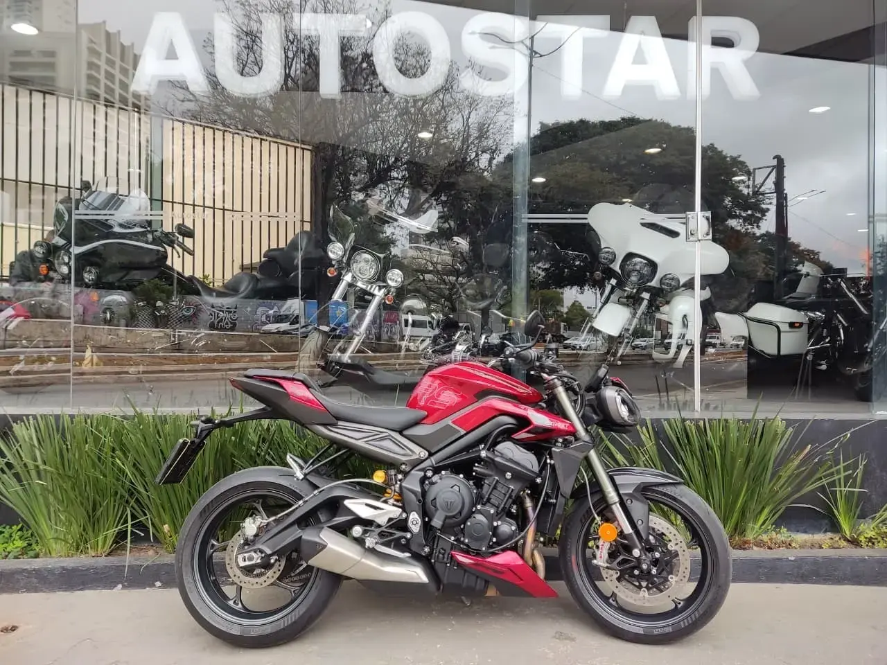 galeria Street Triple 765
